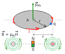 Elektronen Spin
